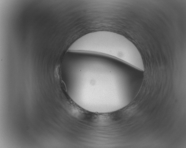 X0000073480286200607310859