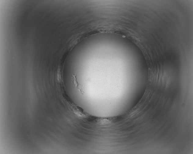 X0000073480287200607310859