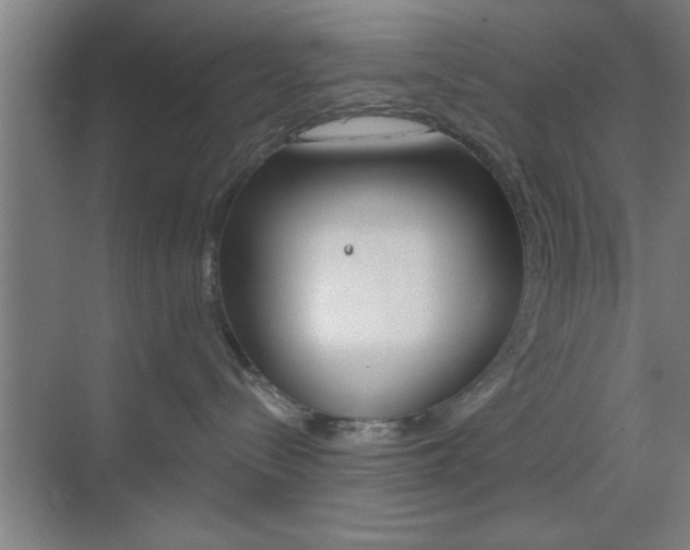 X0000073480288200607310859