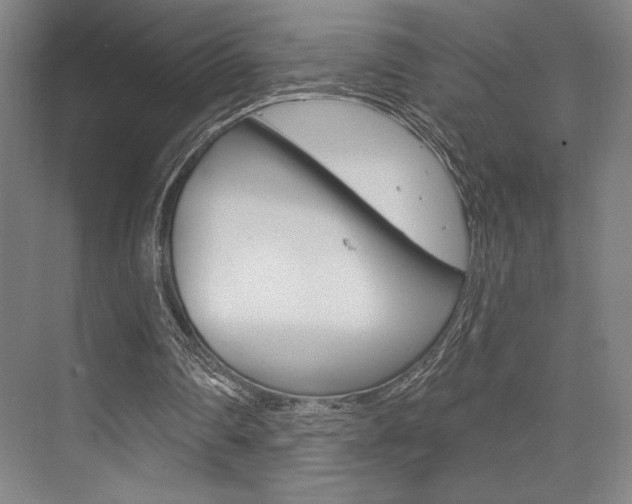 X0000073480290200607310858