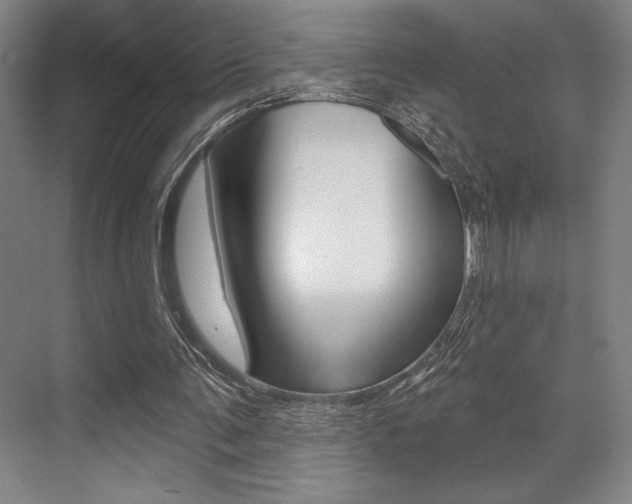 X0000073480291200607310858