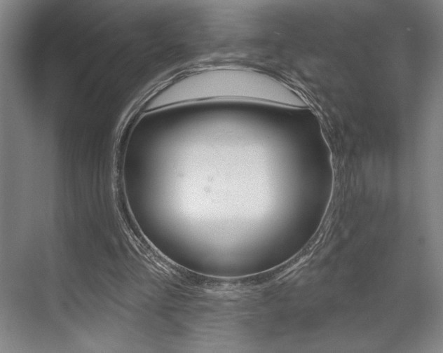 X0000073480293200607310858