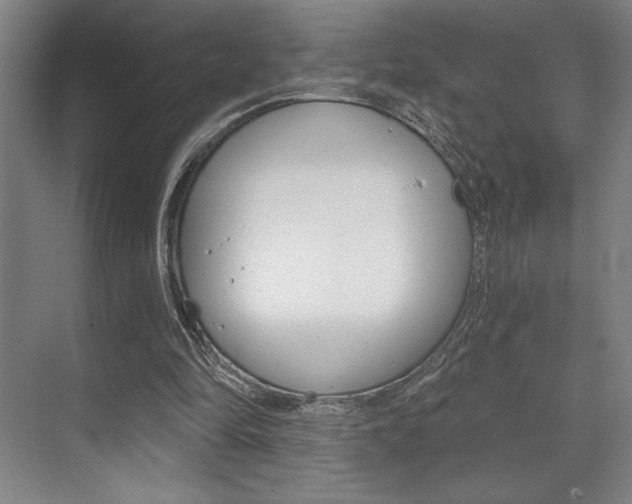 X0000073480294200607310858