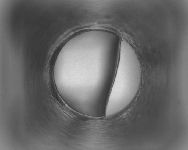 X0000073480295200607310858