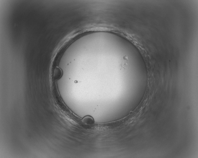 X0000073480296200607310858