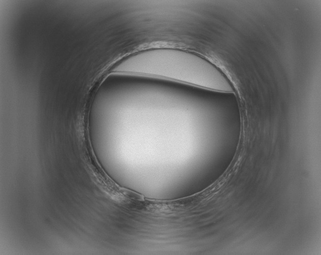 X0000073480297200607310858