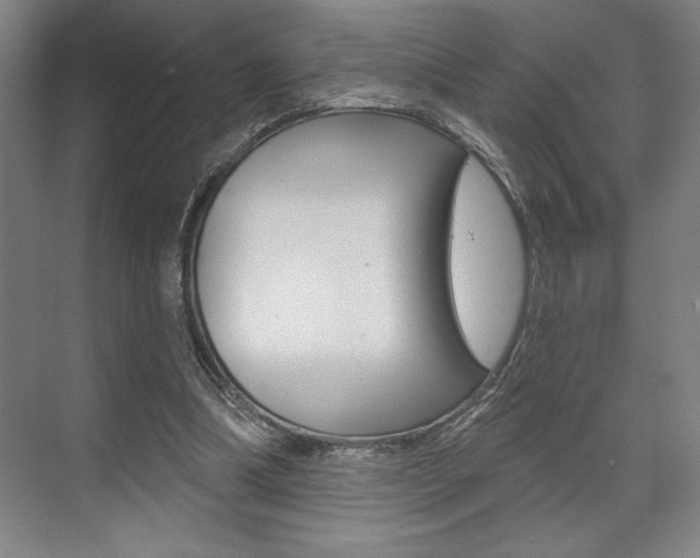 X0000073480298200607310858