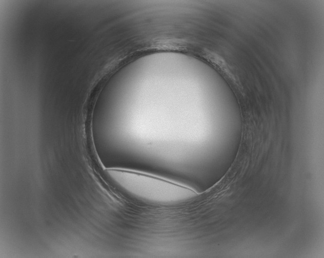 X0000073480299200607310858