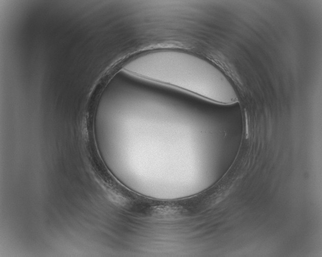 X0000073480300200607310858