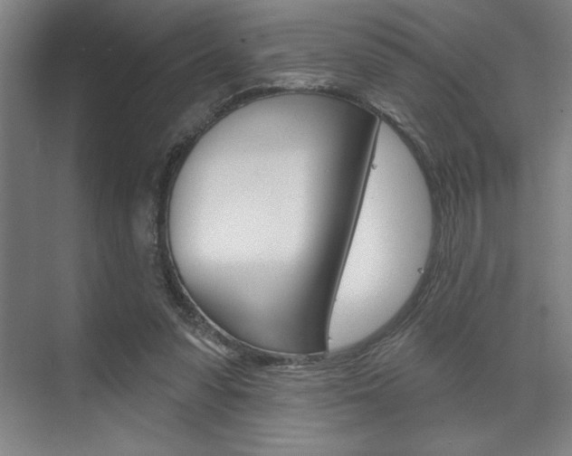 X0000073480303200607310858