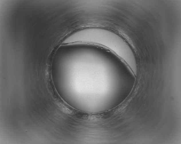 X0000073480305200607310858