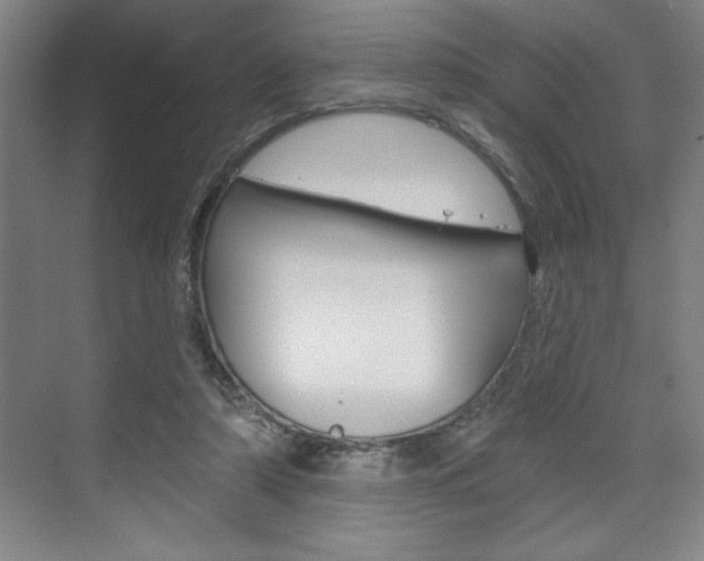 X0000073480306200607310858