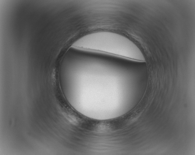 X0000073480308200607310858