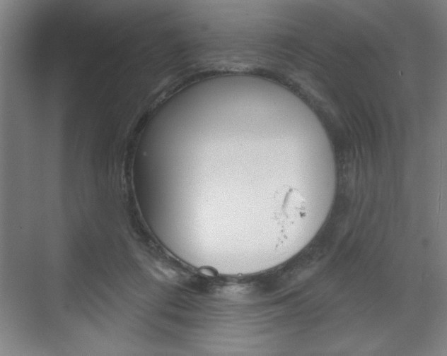 X0000073480312200607310858