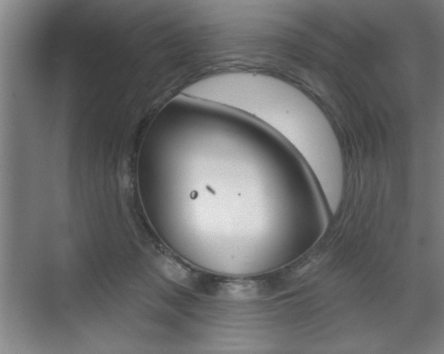 X0000073480317200607310858