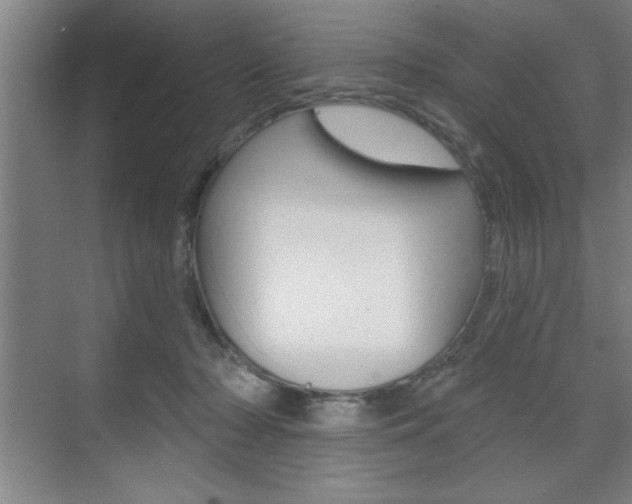 X0000073480318200607310858