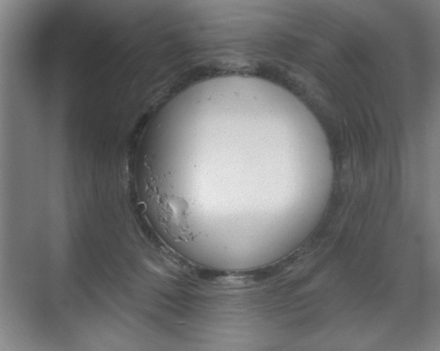 X0000073480320200607310858