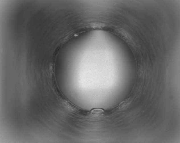 X0000073480321200607310858