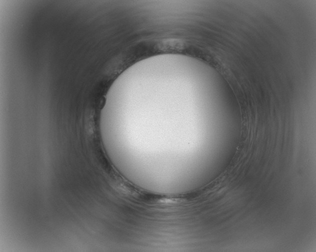 X0000073480323200607310857