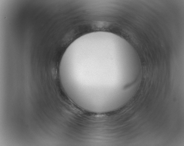 X0000073480324200607310857