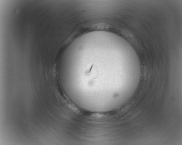 X0000073480326200607310857