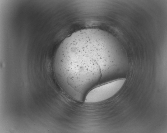 X0000073480327200607310857