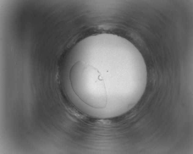 X0000073480328200607310857