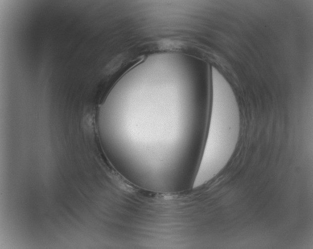 X0000073480329200607310857