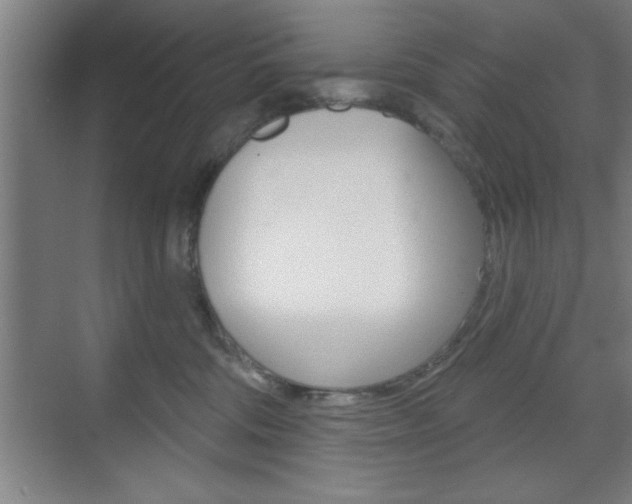 X0000073480330200607310857