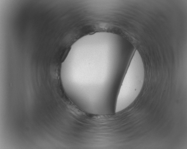 X0000073480331200607310857