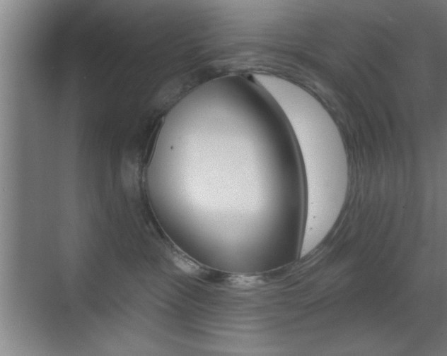 X0000073480333200607310857