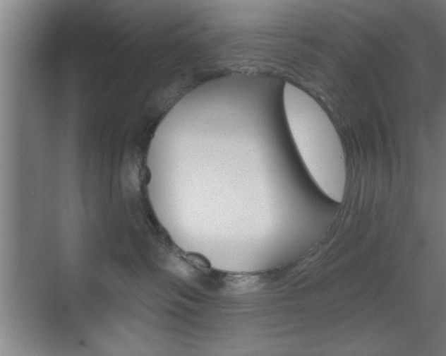 X0000073480334200607310857