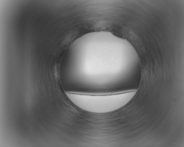 X0000073480335200607310857