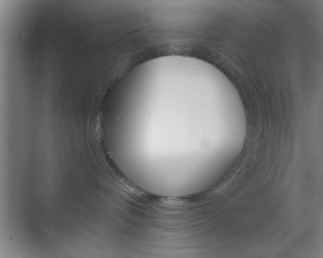 X0000073480336200607310857