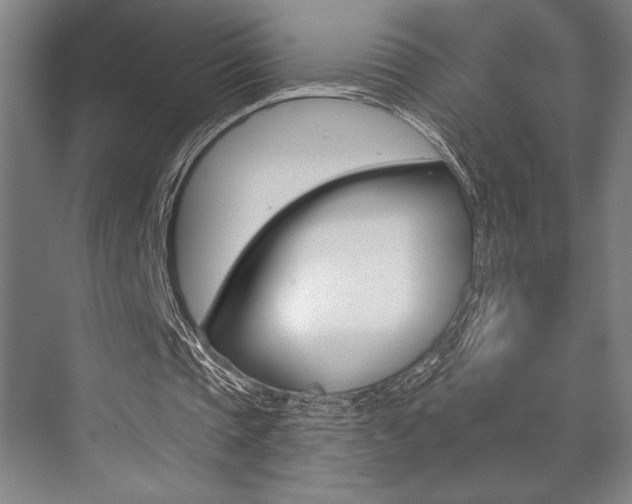 X0000073480337200607310856