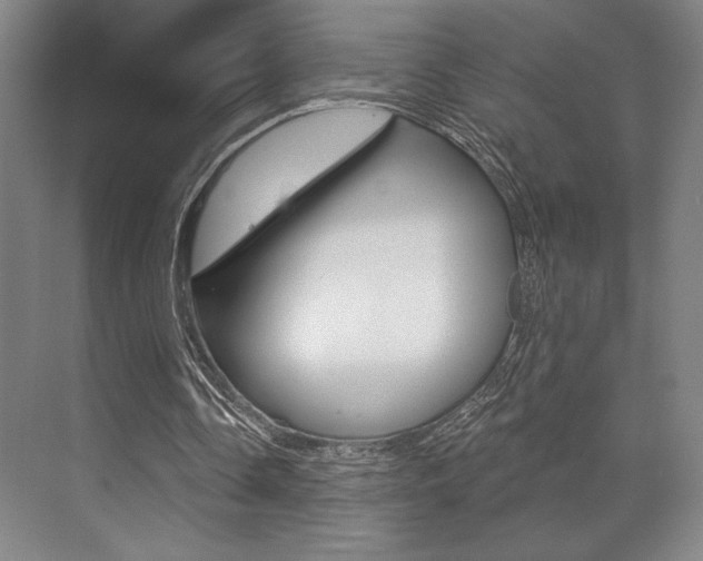 X0000073480338200607310856