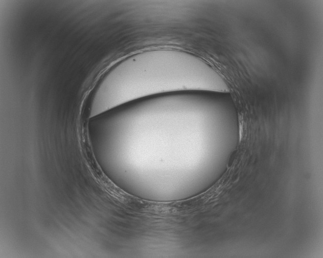 X0000073480339200607310856