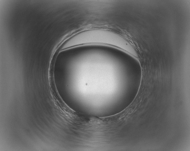 X0000073480340200607310857