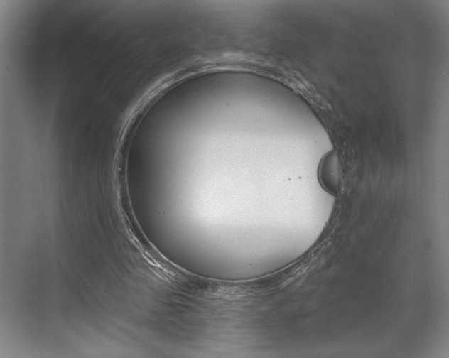 X0000073480341200607310857