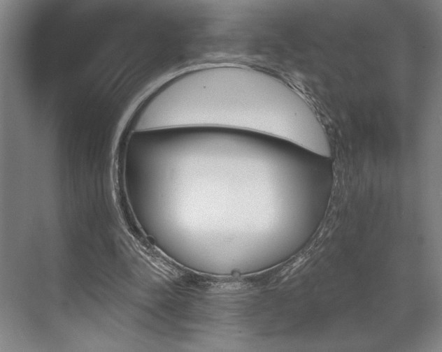 X0000073480342200607310857