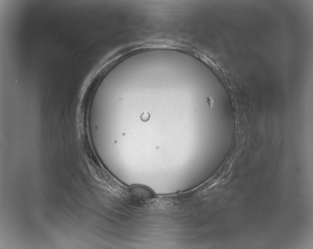 X0000073480343200607310857