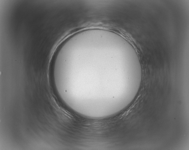 X0000073480344200607310857