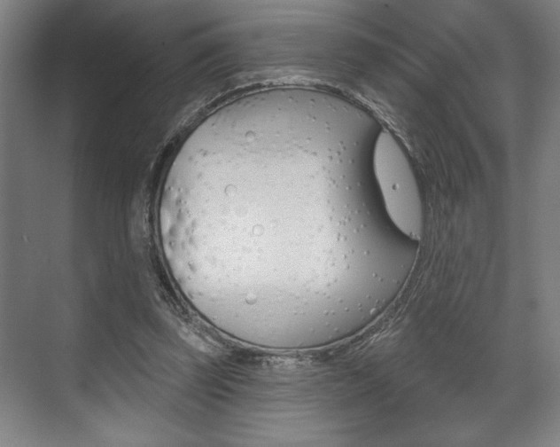 X0000073480347200607310857