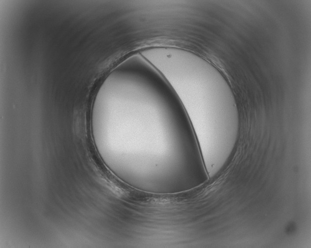 X0000073480349200607310857