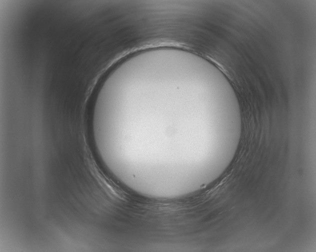 X0000073480350200607310857