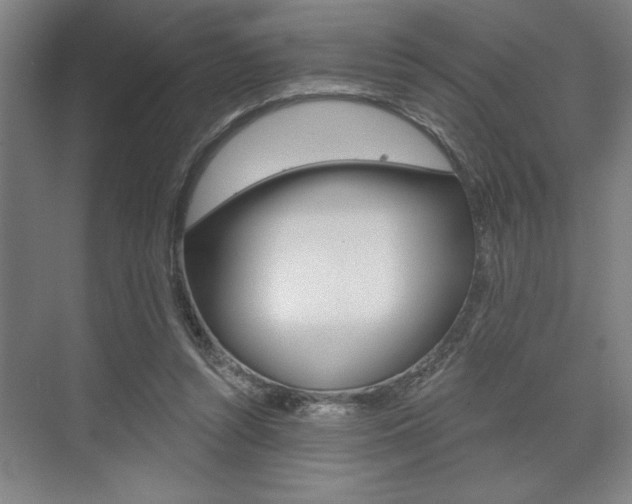 X0000073480352200607310857