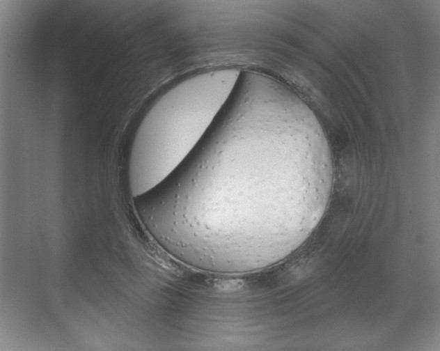 X0000073480355200607310857