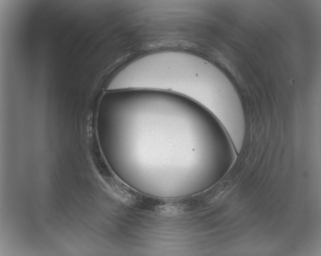 X0000073480356200607310857