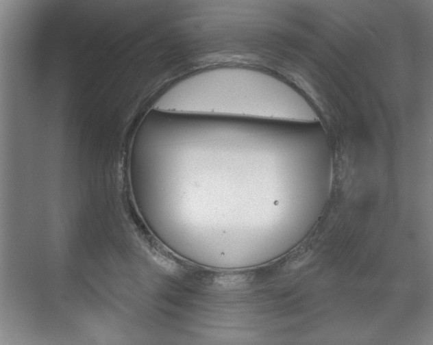 X0000073480357200607310857