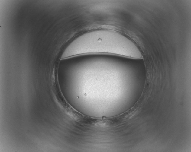 X0000073480358200607310857